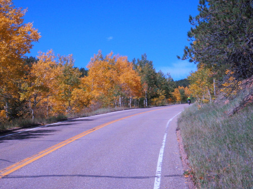 trees are at the height of their fall color.
